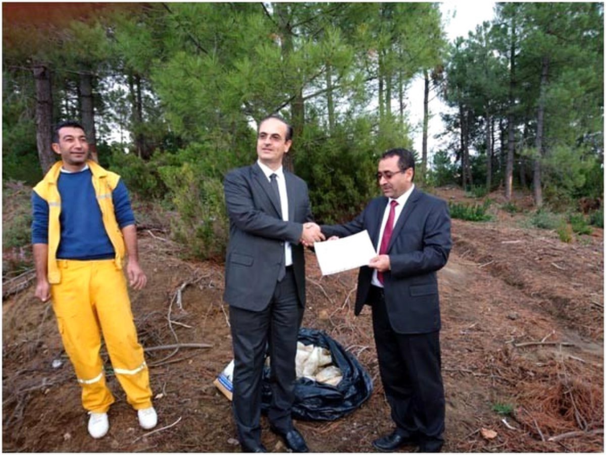 Yalova Ormanlarından Reçine Üretilecek