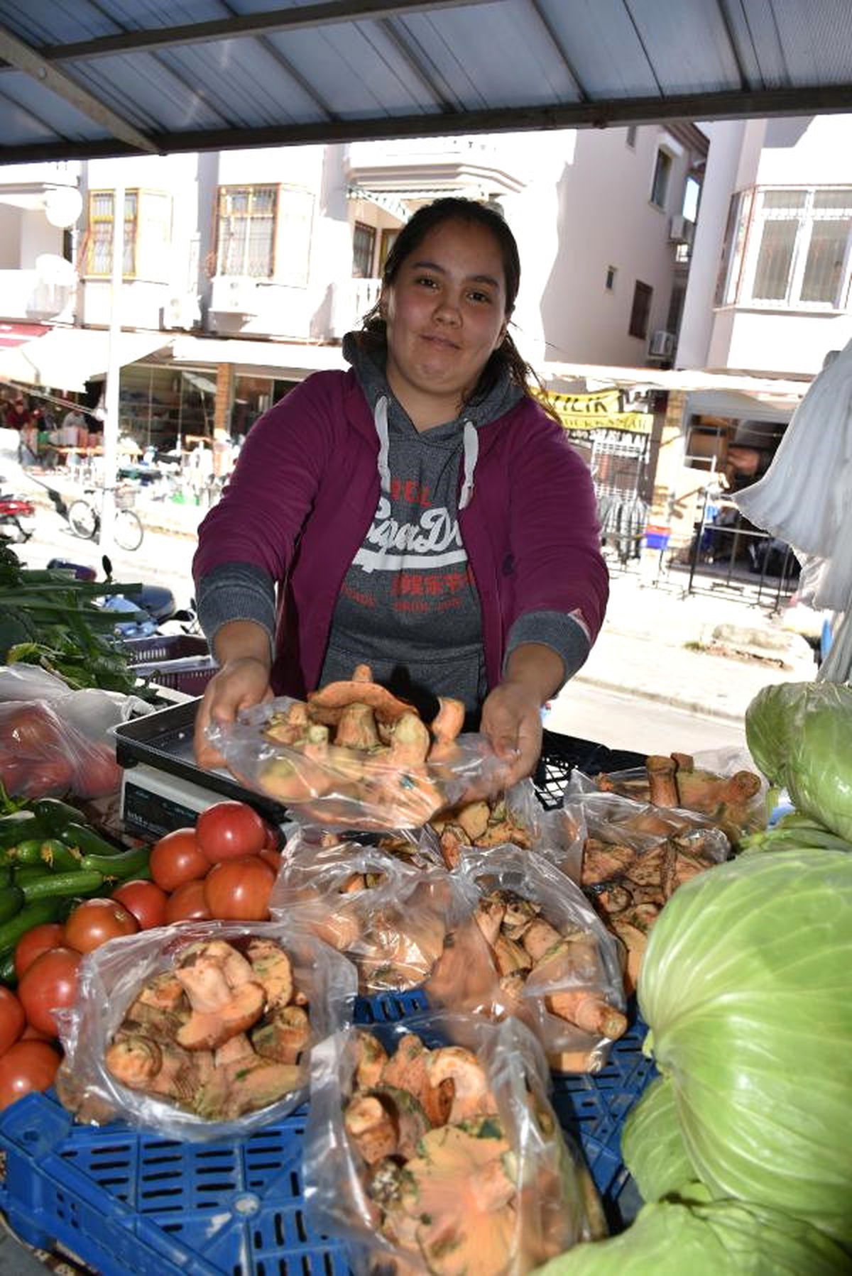 Çıntar Mantarına Yoğun İlgi