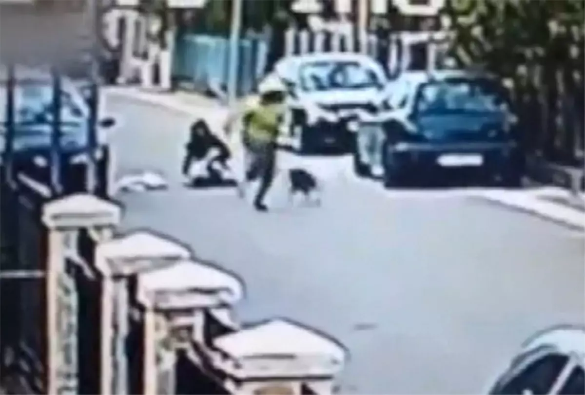 Kapkaççı Sokak Köpeğine Takıldı