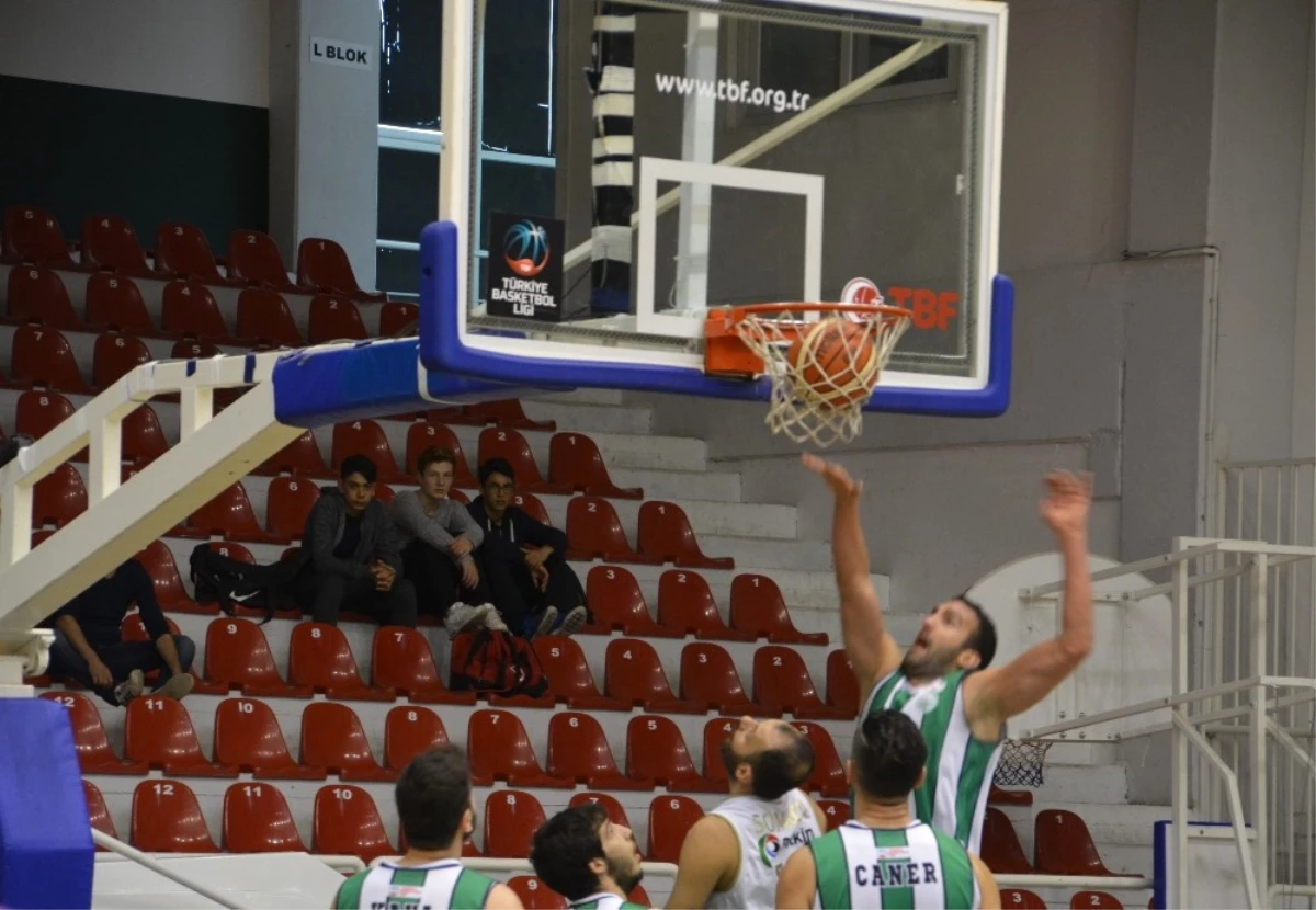 Türkiye Basketbol 1. Ligi: Petkim Spor: 82 - Ankara Dsi: 66