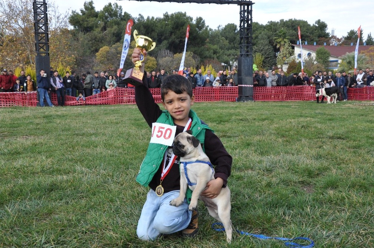 Köpeklerin Güzellik Yarışması Finali İzmir\'de Yapıldı