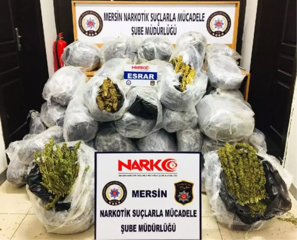 Mersin\'de 197 Kilo Esrar Ele Geçildi