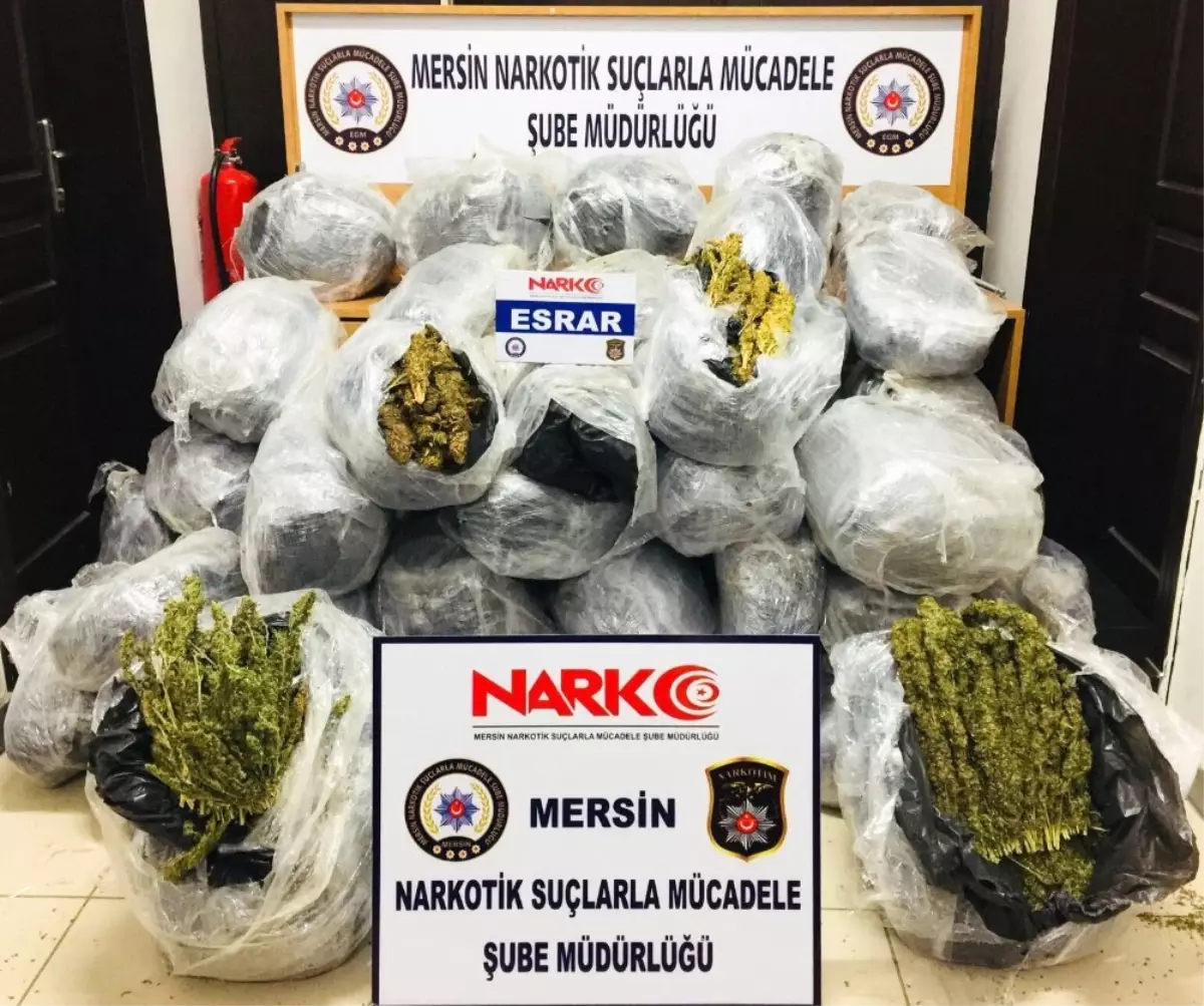 Mersin\'de 198 Kilo Esrar Ele Geçirildi