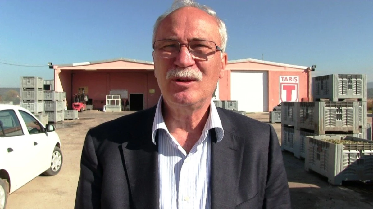 Tariş Pazarlama Başkanı Akova: "Zeytinyağında Destekleme Fiyatı Arttırılmalı"