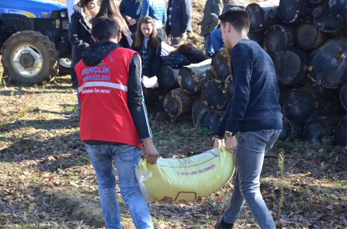 Üreten Gençlik Oldular, Tarlaya Buğday Ektiler