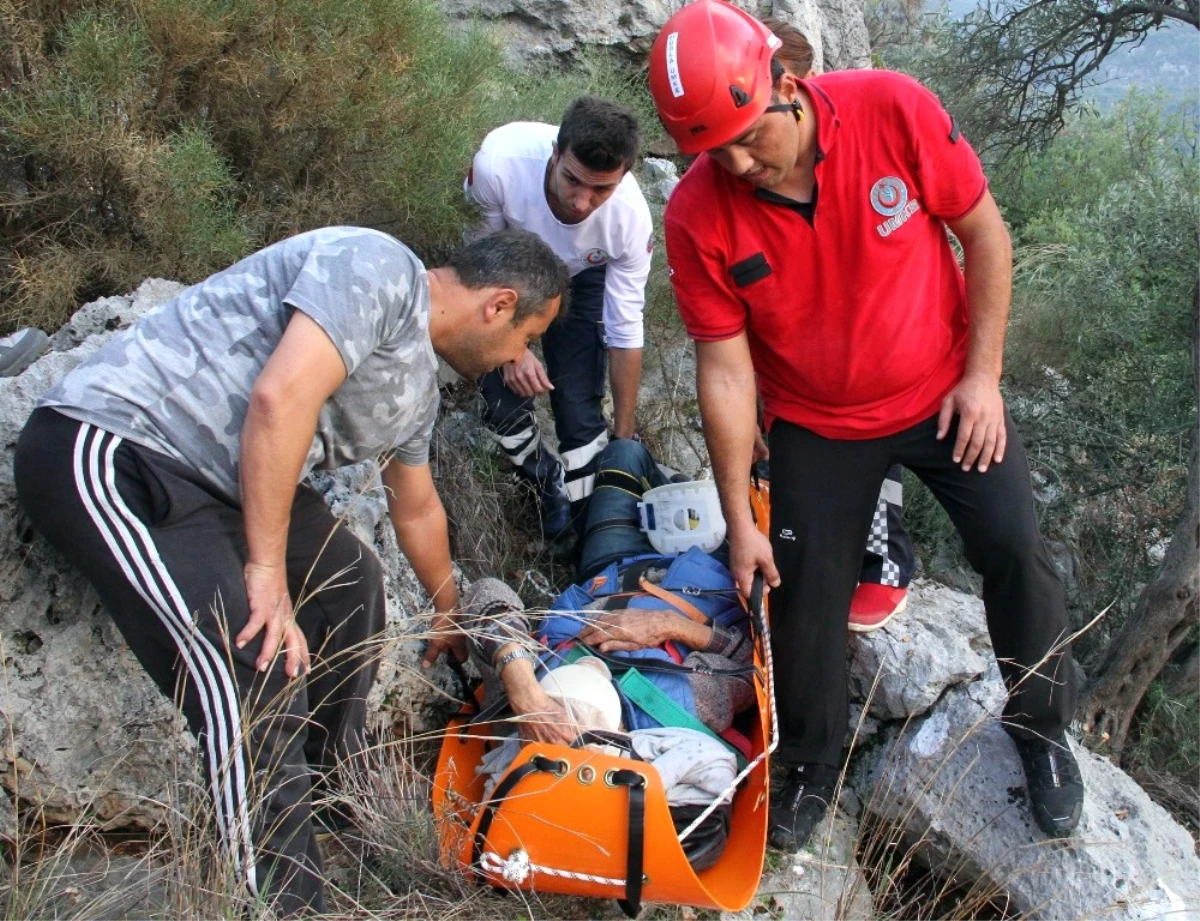 Zeytin Ağacından Kayalıklara Düşen Vatandaş 4 Saatte Kurtarıldı