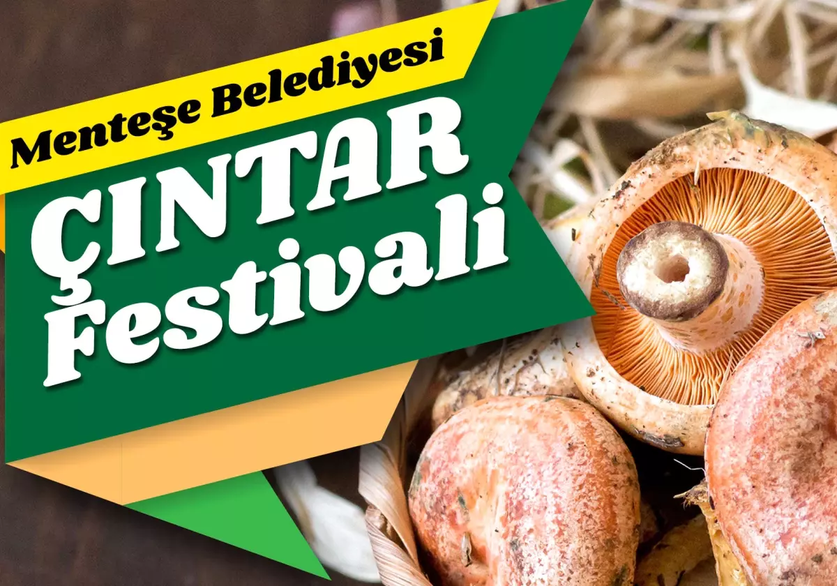 Çıntar Festivali Başlıyor