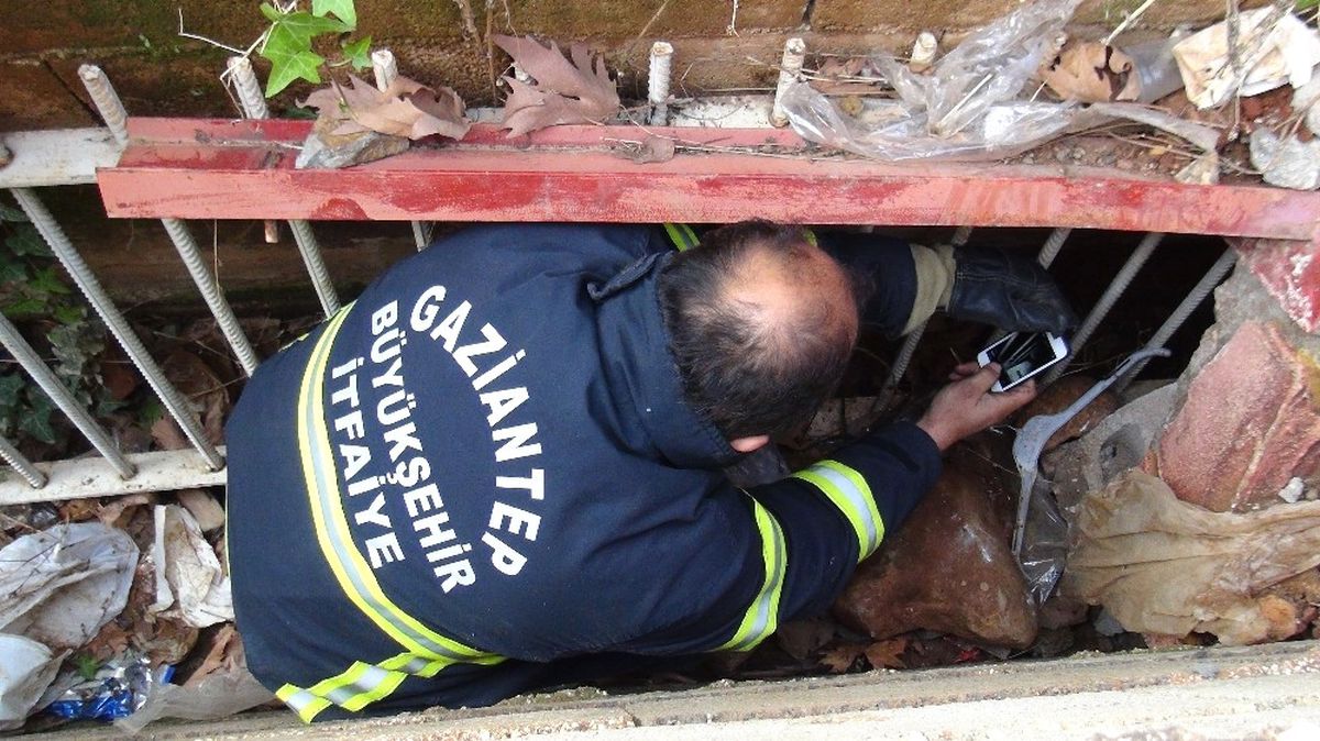 Kanala Düşen Köpeği İtfaiye Ekipleri Kurtardı