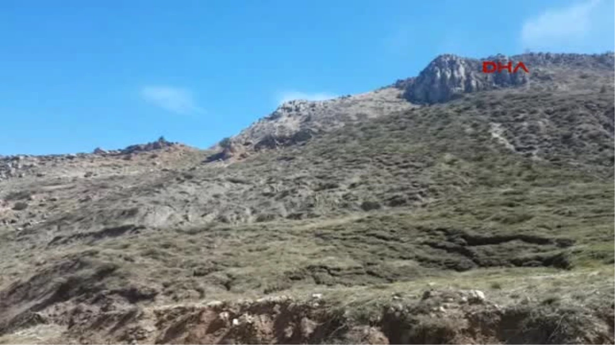 Tunceli\'de Dağ Keçilerinin Ölüm Sebepleri Tespit Edildi