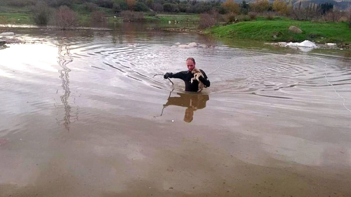 Mahsur Kalan Yavru Köpekleri Dalgıçlar Kurtardı