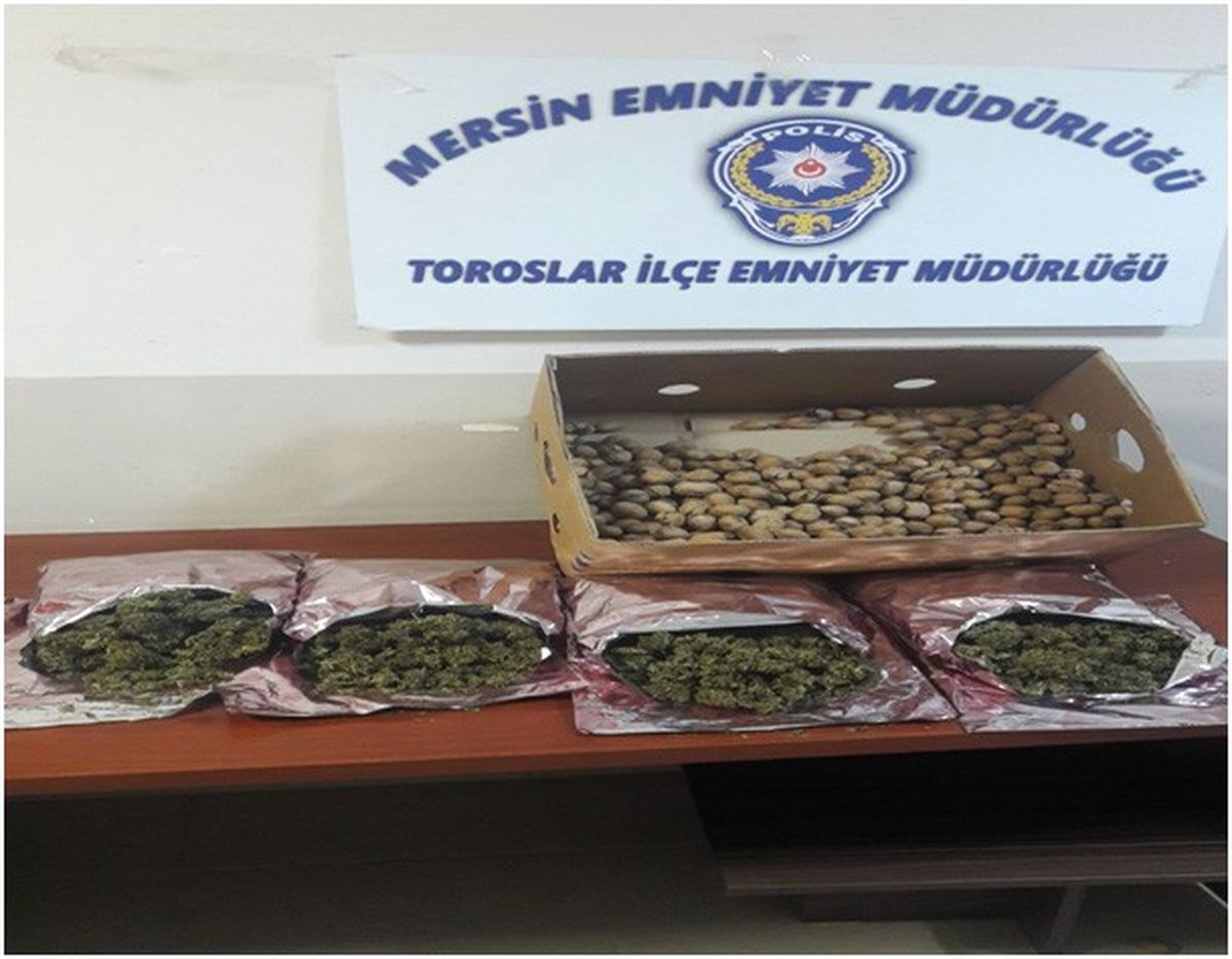 Mersin\'de Kanun Kaçaklarına Göz Açtırılmıyor