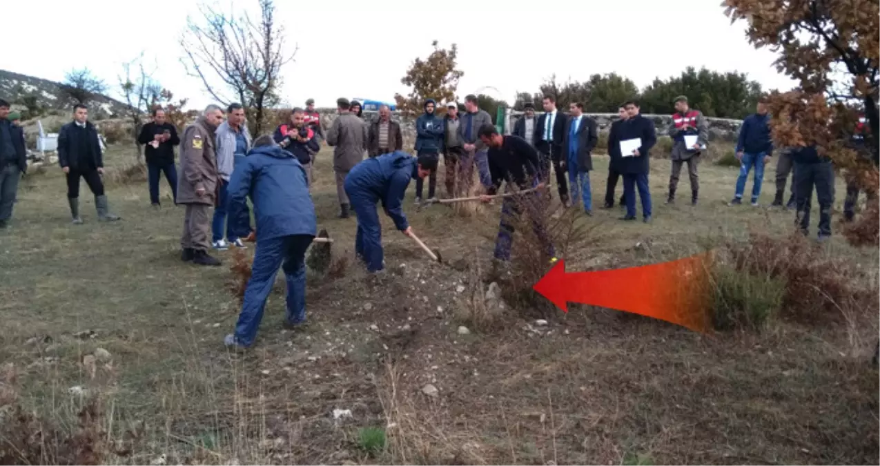 Yeni Kazılan Mezar, Paniğe Yol Açtı! Jandarma Yarım Saatlik Kazı Yaptı