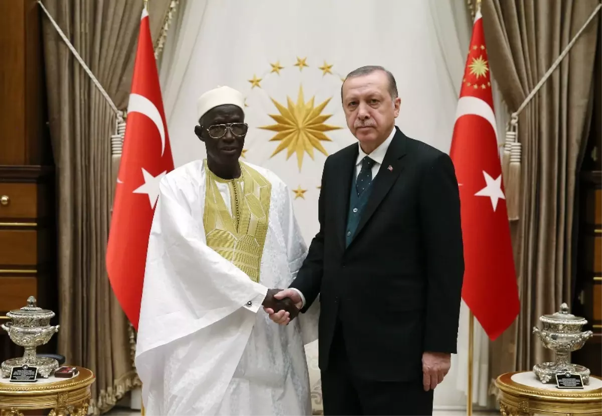 Cumhurbaşkanı Erdoğan, Gambiya Büyükelçisini Kabul Etti