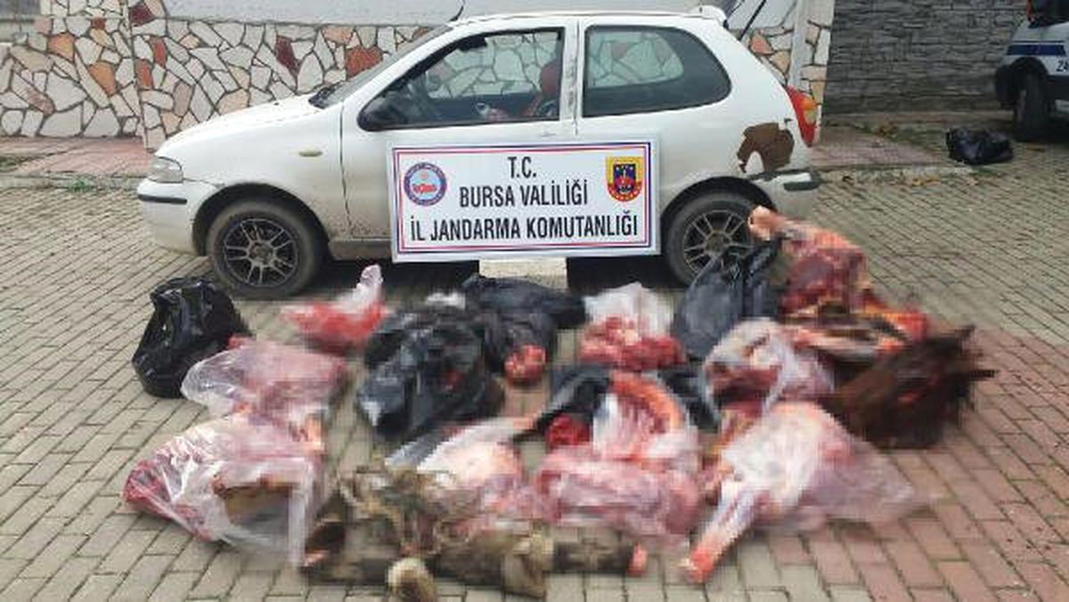 Bursa\'da 306 Kilo At Eti Ele Geçirildi