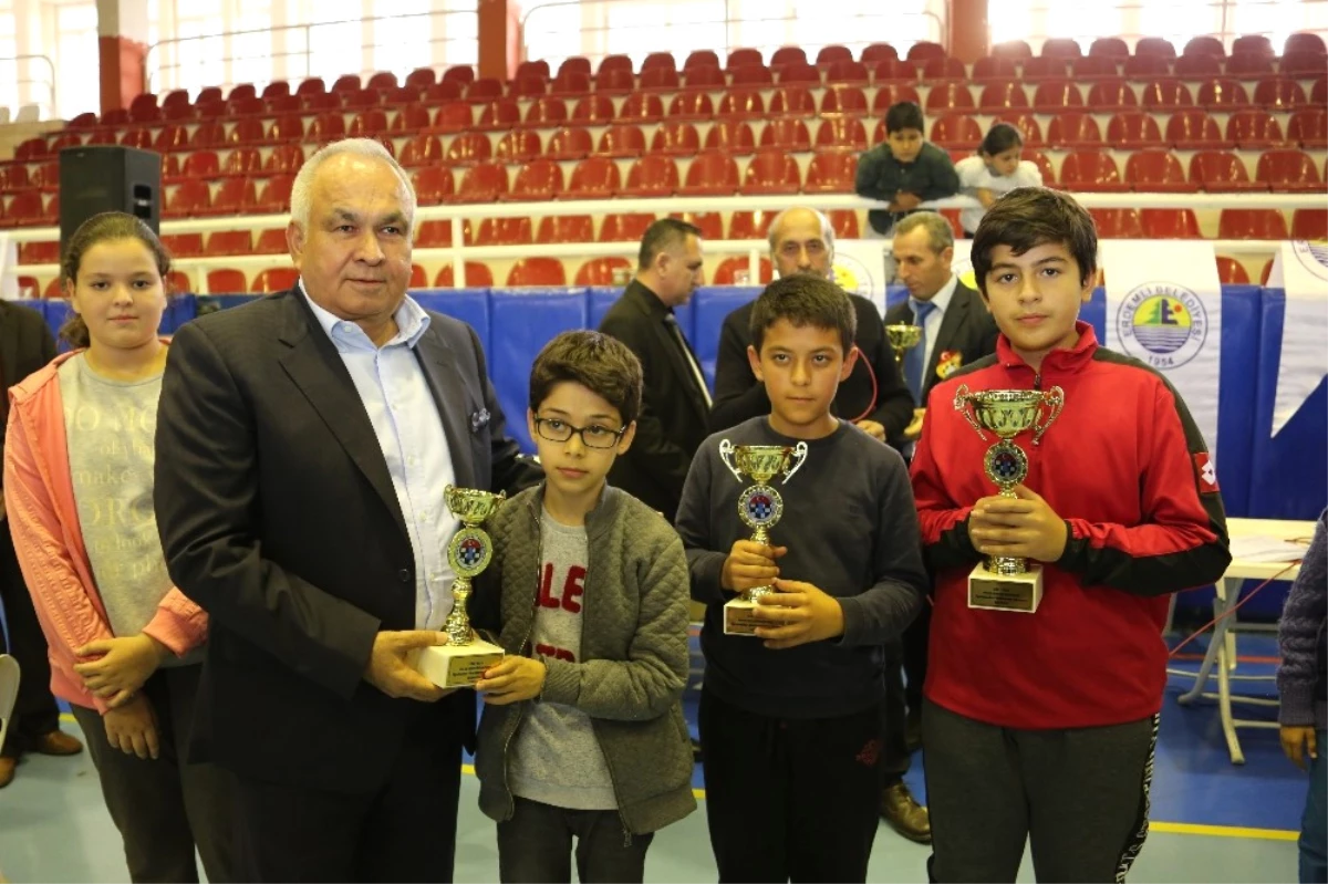 Erdemli\'de Satranç Şampiyonları Belli Oldu