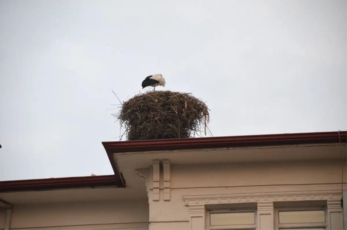 Havalar Soğumayınca Kenti Terk Etmediler