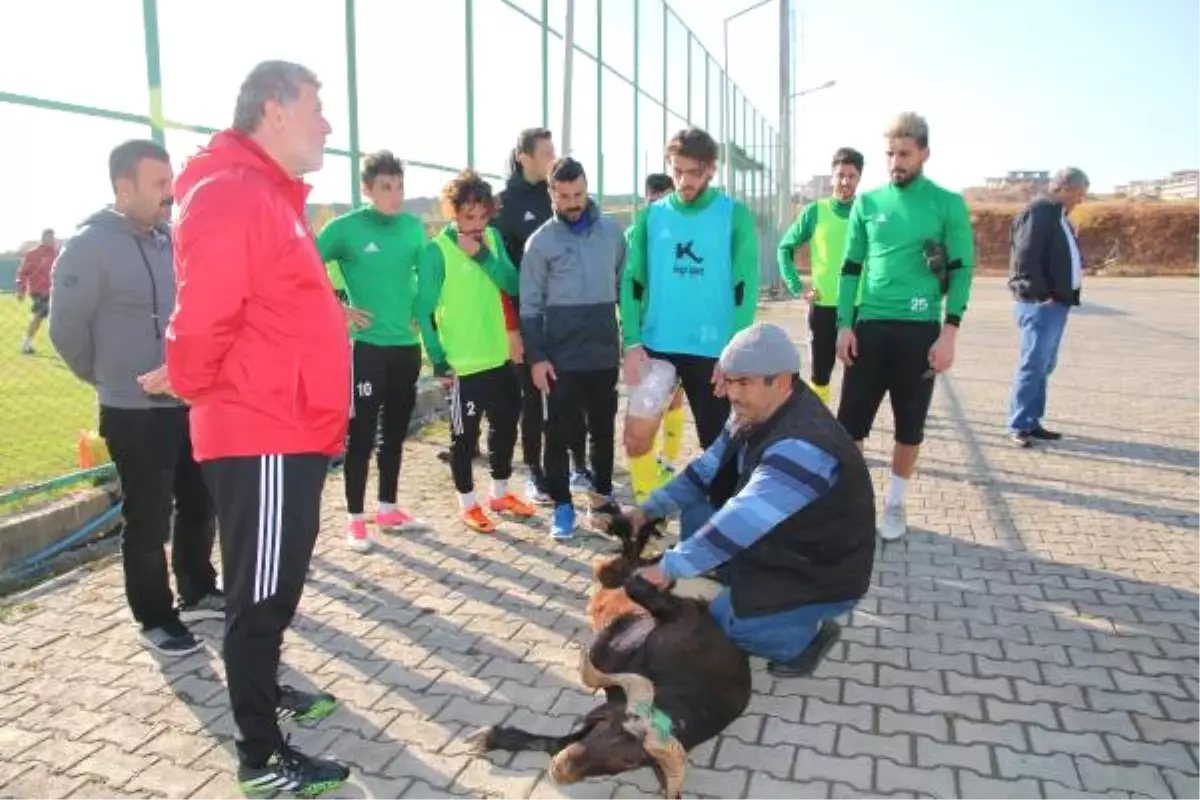 Şanlıurfaspor, Başarı İçin Kurban Kesti