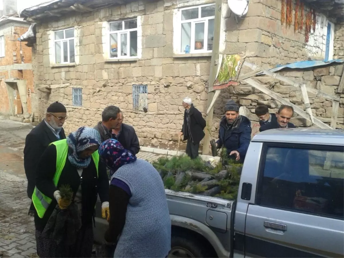 Seydişehir Belediyesi\'nden 21 Bin 600 Adet Fidan Dağıtımı