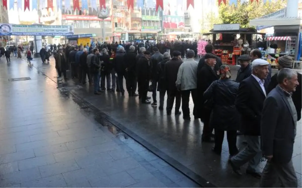 Çam Fidanı İçin Metlerce Kuyruk Oluştu