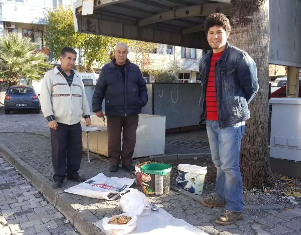 Mantar, Gelir Kapısı Oldu