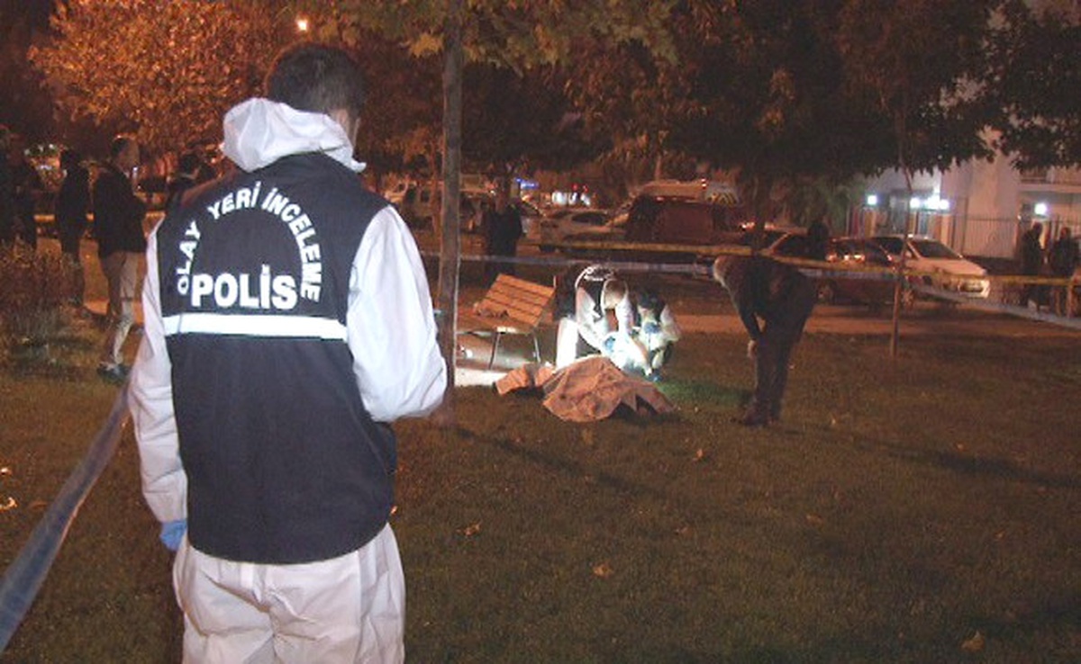 Parktaki İnfaz Güvenlik Kamerasında