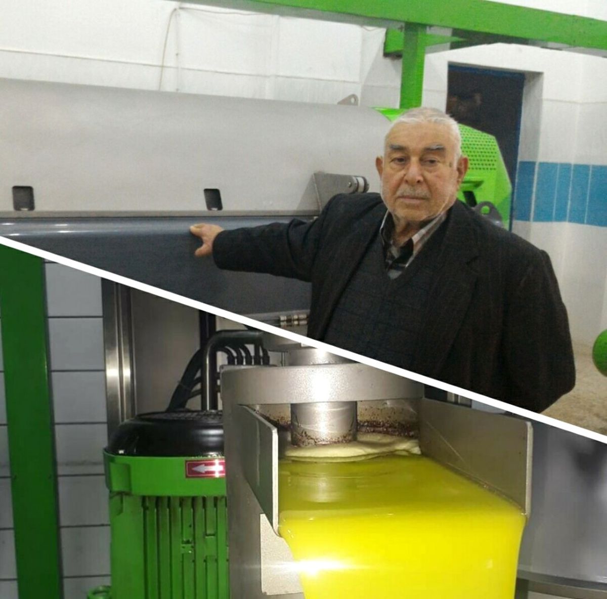 Kilis Dünyanın En Kaliteli ve En Lezzetli Zeytinyağı Üretildiği Bir Yer