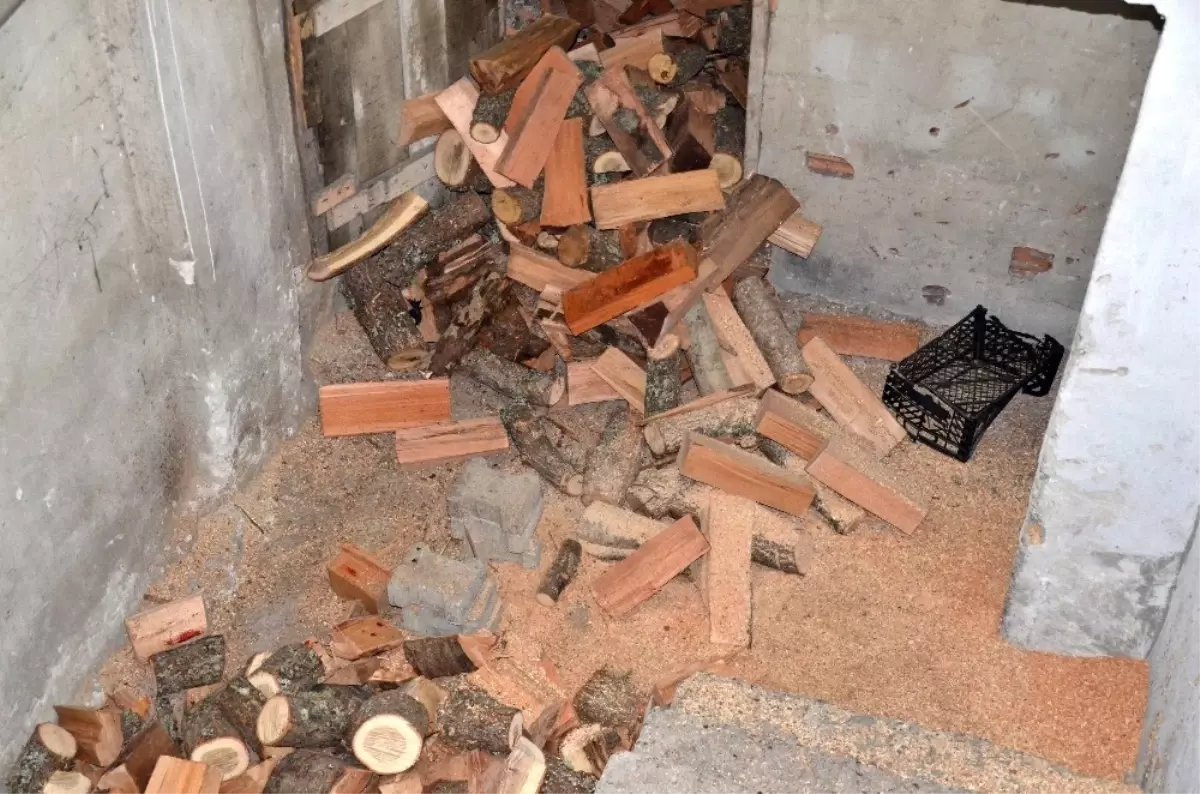 Odun Kesmek İsterken Boynunu Kesti