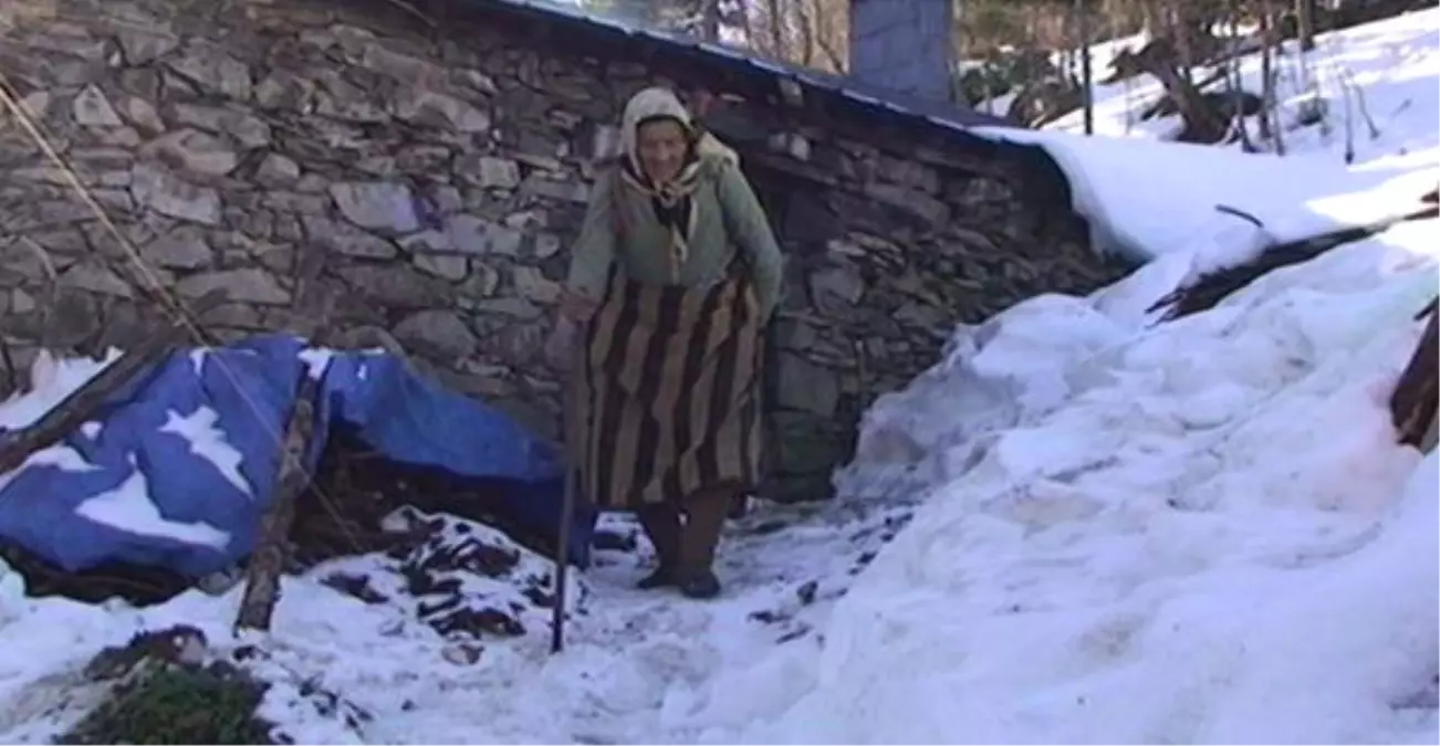 33 Yıldır Yaylada Tek Başına Yaşayan \'Robinson Nine\' Dönmeye İkna Edildi