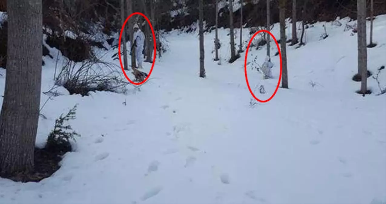 Bingöl\'de Sabaha Karşı Operasyon! 4 Terörist Öldürüldü, 1 Terörist Yakalandı