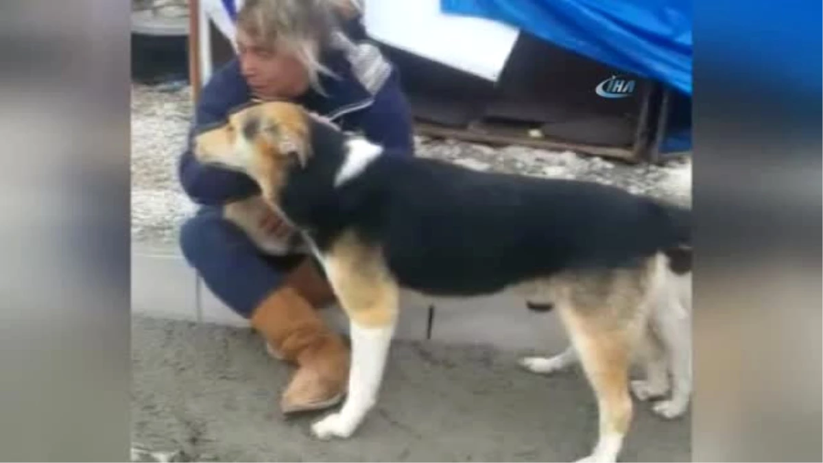 Hayvansever Nurhan Duru\'yu Köpekler Patisiyle Teselli Etti