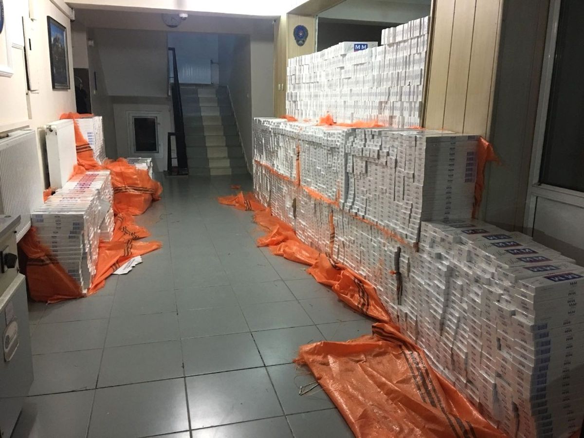 Ağaç Dallarının Arasında 40 Bin Paket Kaçak Sigara Ele Geçirildi