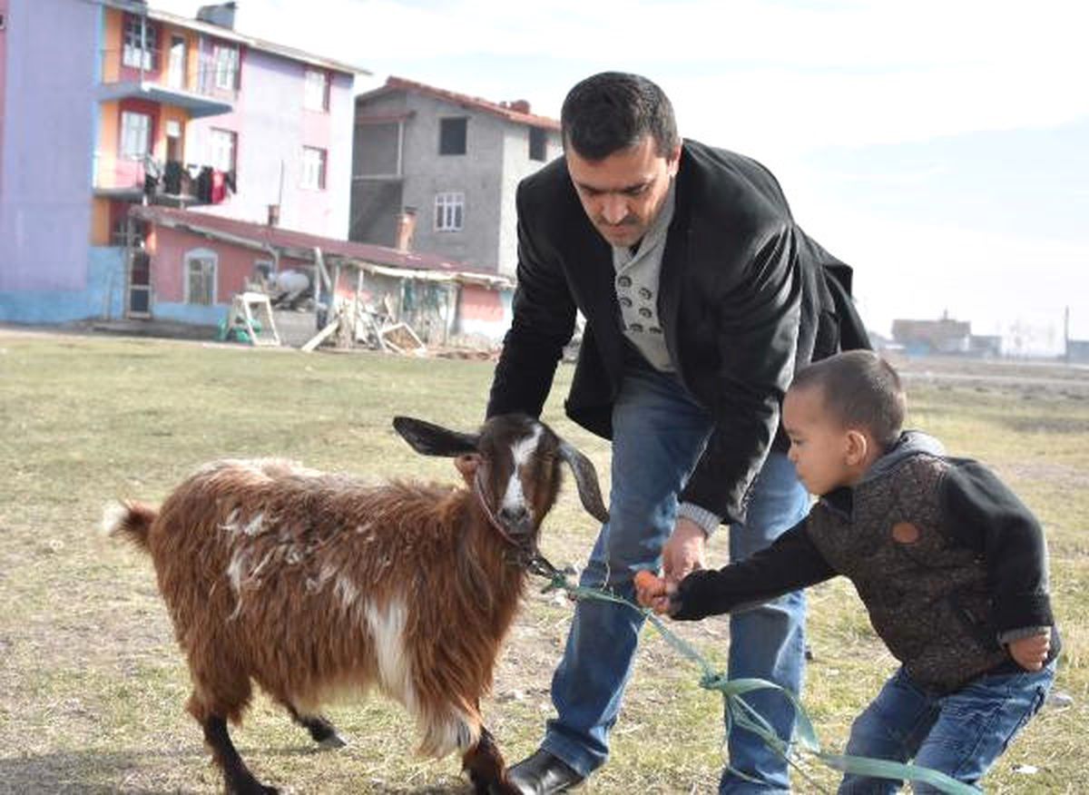 Oğlak Hırsızları Kamerada (2)