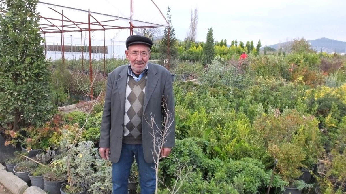 Burhaniye\'de 50 Yıllık Çiçekçi Takdir Topladı
