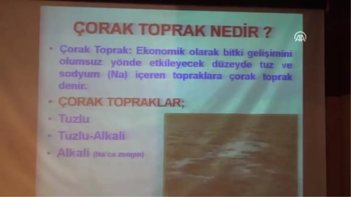 Çorak Toprakların Islahı ve Tarımsal Üretimde Kullanma Olanakları" Paneli