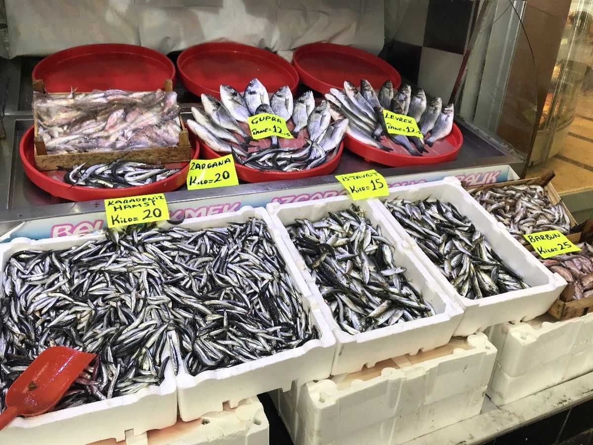 Hamsinin Fiyatı 20 Liraya Çıktı