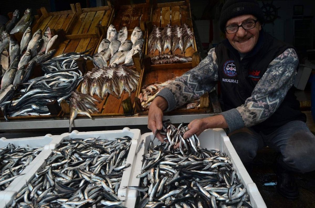 Hamsinin Fiyatı 4 Günde 3 Kat Arttı