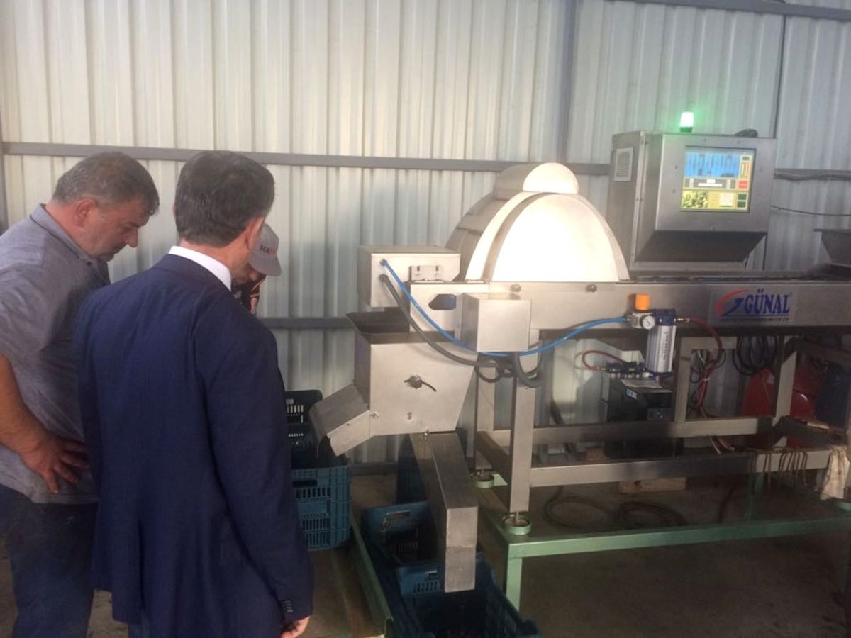 Kaymakam Sırmalı, Zeytinyağı Fabrikalarını Ziyaret Etti