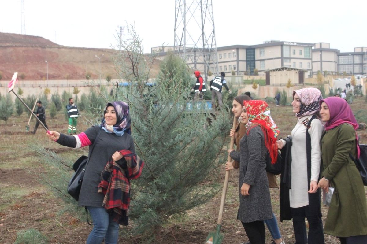 Siirt\'te Hatıra Ormanına Bin 50 Ağaç Dikildi