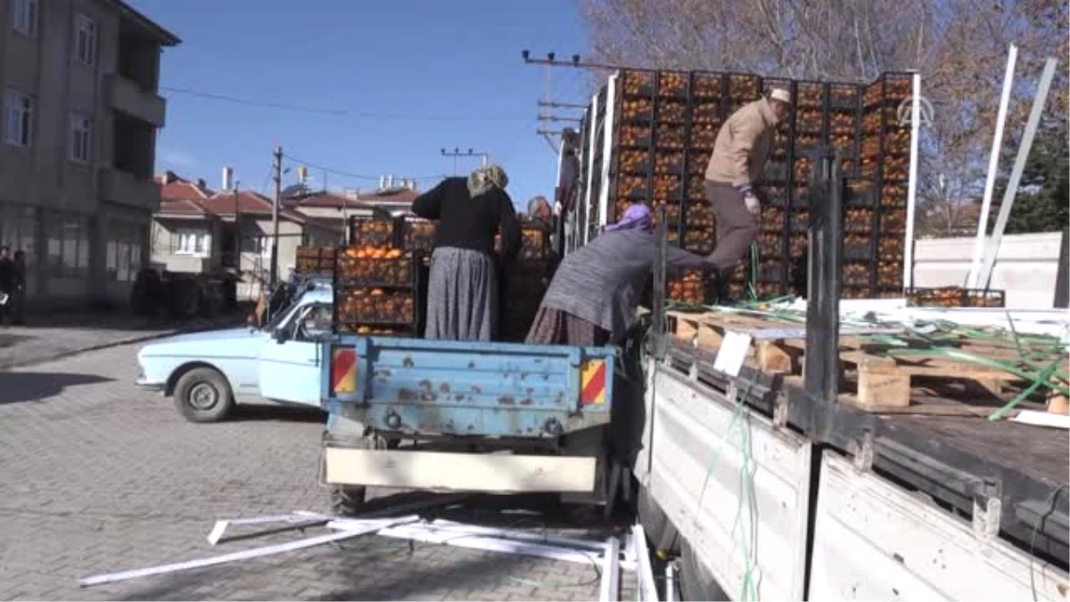 Akdeniz\'in Mandalinasını Sultandağlı Kadınlar Soyuyor