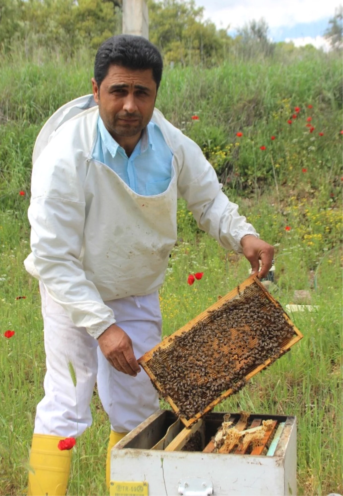 Arı Yetiştiricileri Birliği Başkanı Özdemir\'den Arıcılara Uyarı