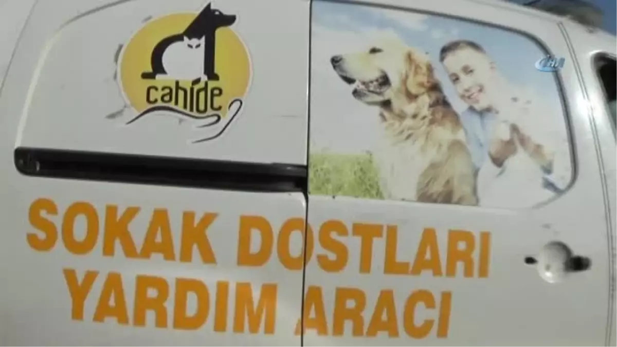 Domdom Kurşunu ile Vurulmuş Sokak Köpeğine Vatandaşlar Sahip Çıktı