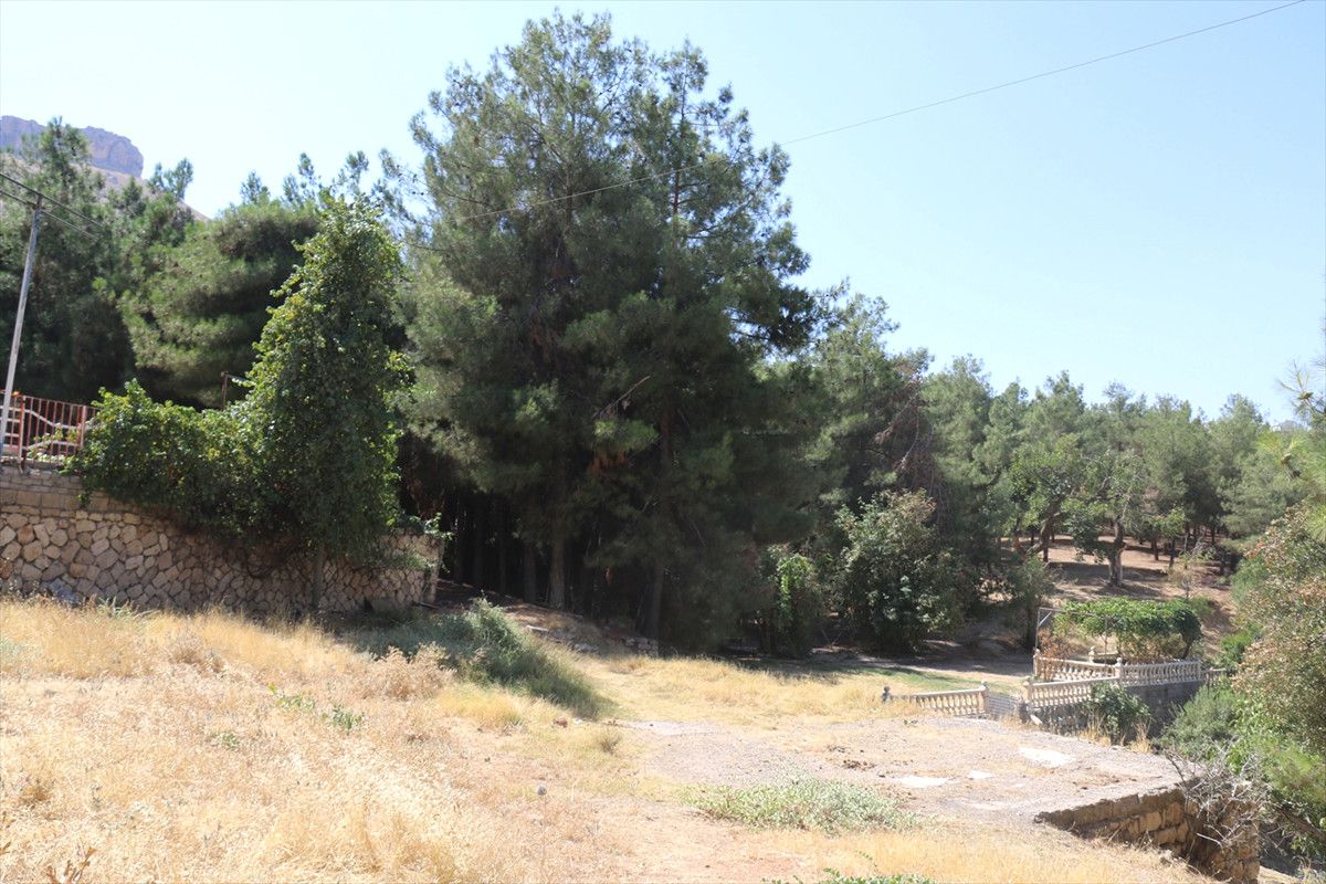 Kamor Parkı Çalışmaları Başladı