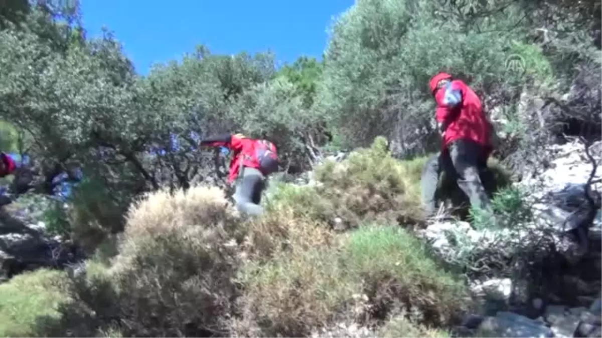 Kayalıklarda Mahsur Kalan Kişiyi Akut Kurtardı