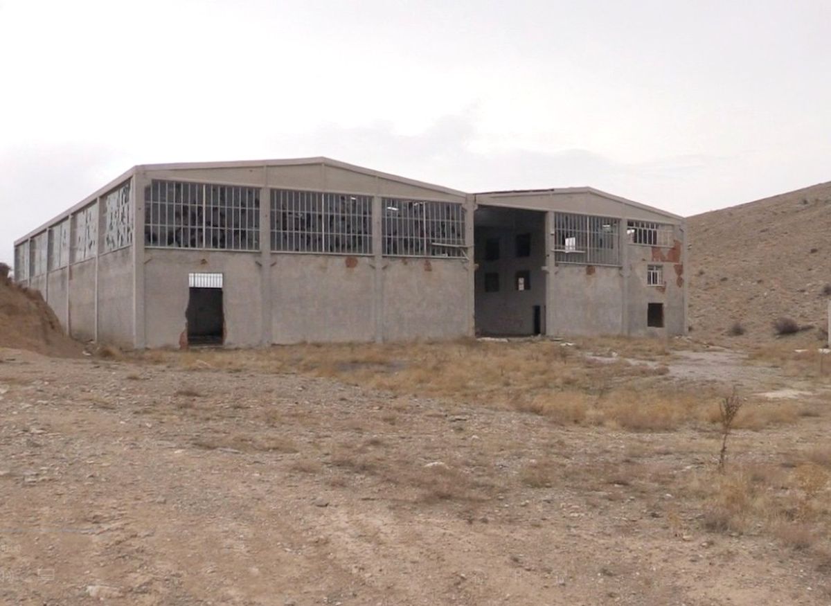 Konya\'da At Kesildiği İddiası