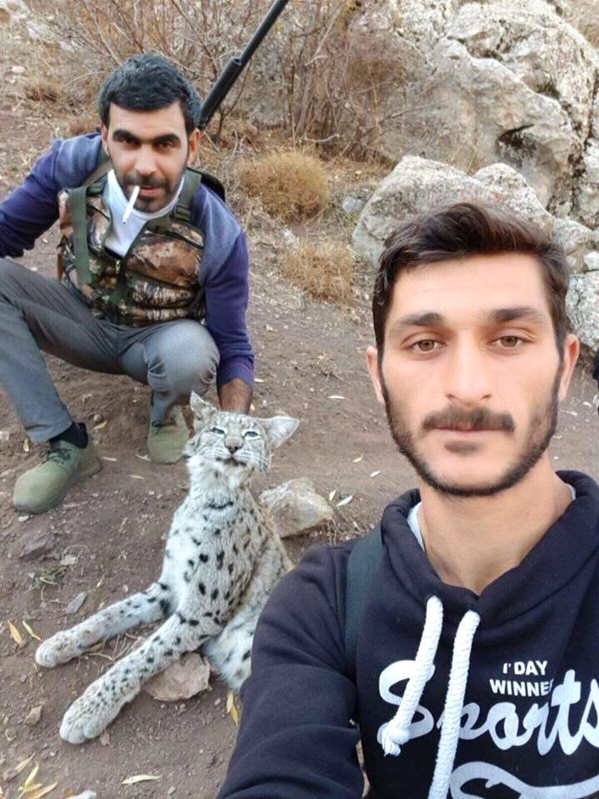 Nesli Tükenmekte Olan Vaşağı Vurup Fotoğraf Çektirdiler