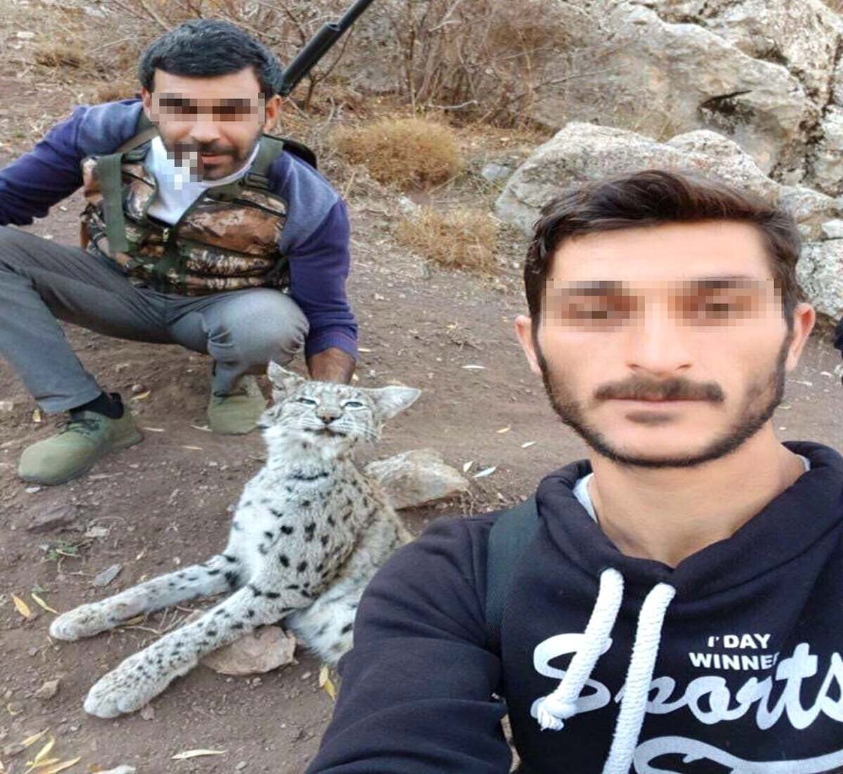 Nesli Tükenmekte Olan Vaşağı Vurup Fotoğraf Çektirdiler