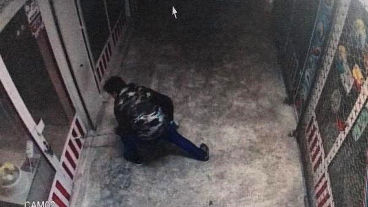 Petshoptan 10 Bin Liralık Kuş Çalındı