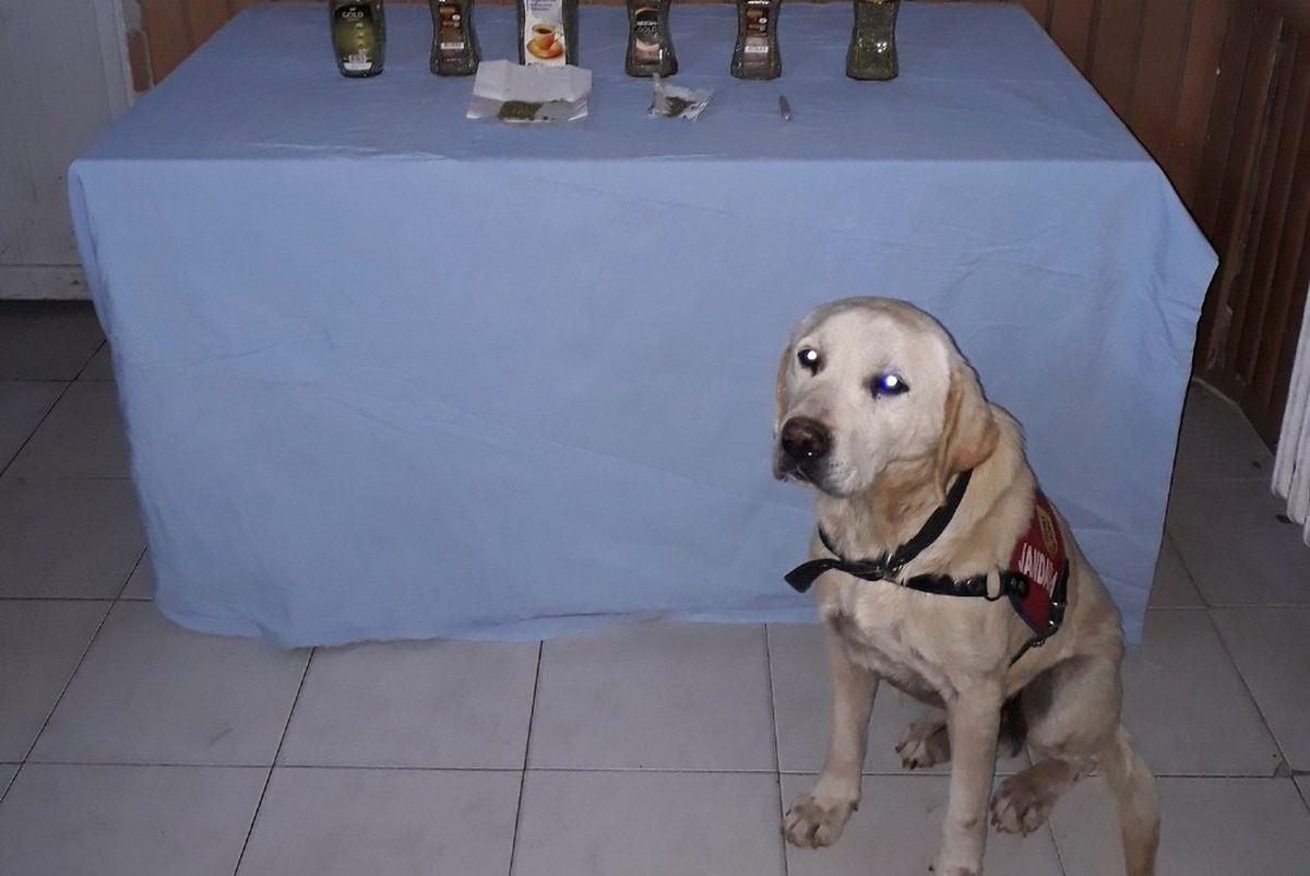 Uşak\'ta 412 Gram Esrar Ele Geçirdi