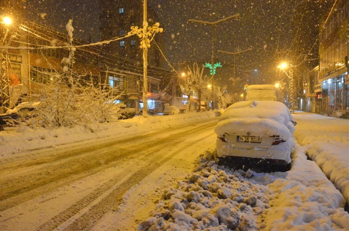 Yüksekova\'da Yoğun Kar Yağışı