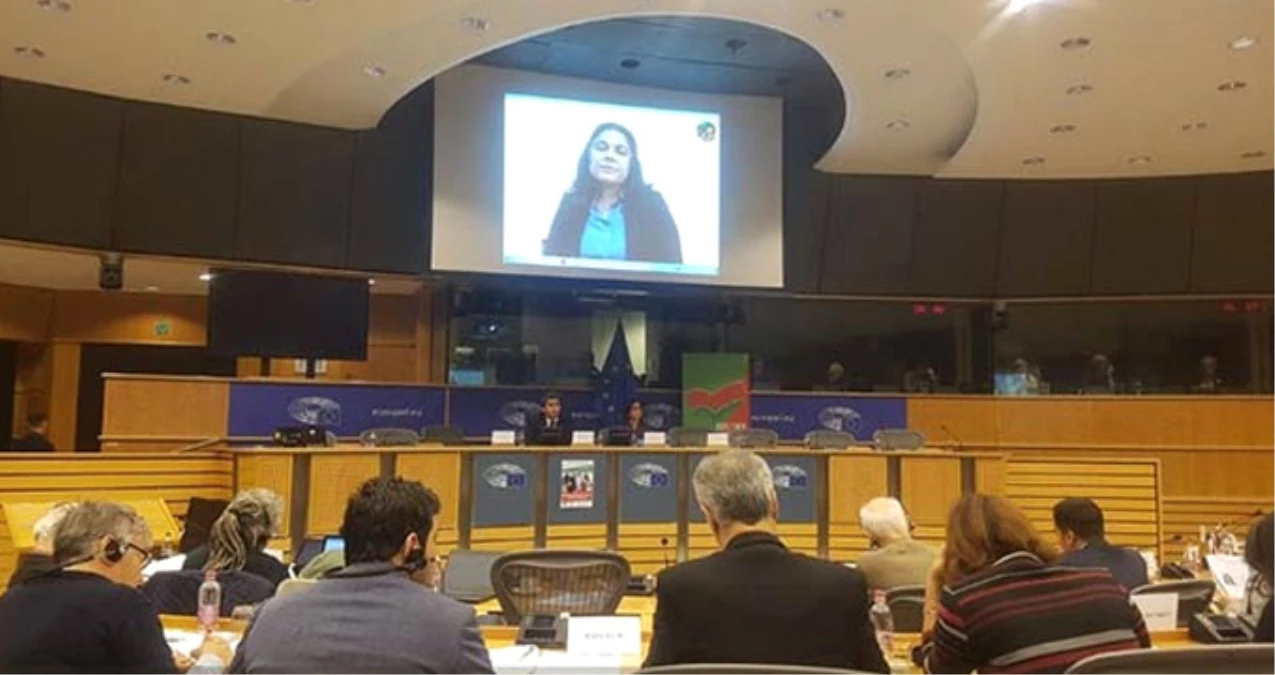 Avrupa Parlamentosu\'nda Skandal! YPG\'li Terörist Canlı Bağlantı Yapıp Akıl Verdi